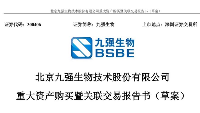 PCR检测结果时间快慢背后的科学解析