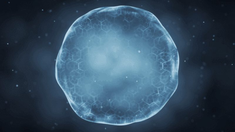 生物医药细胞工厂：揭秘规模化生产背后的技术奥秘**