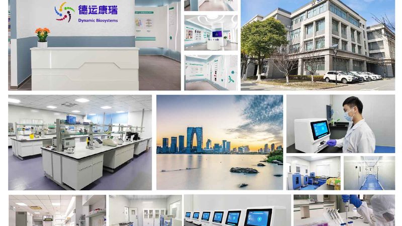 成都引物测序公司：揭秘基因检测背后的技术奥秘**