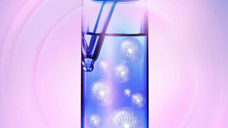中药注册申报流程：关键步骤与注意事项
