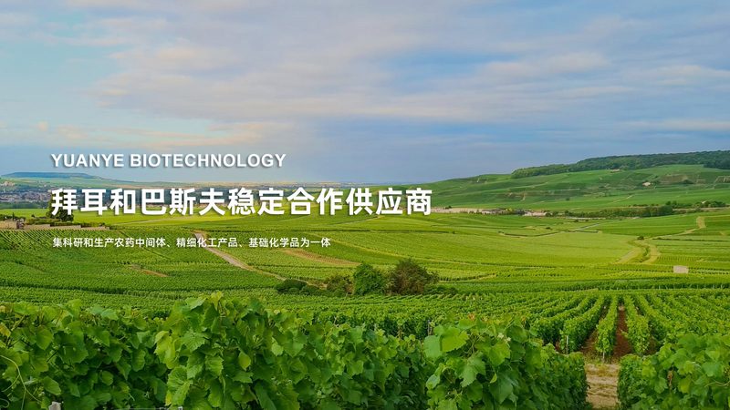 癌症基因测序报告解读：规范与要点**