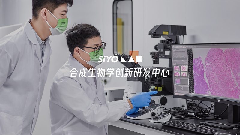离心管：科研路上的“得力助手”，如何选择合适的价格？**
