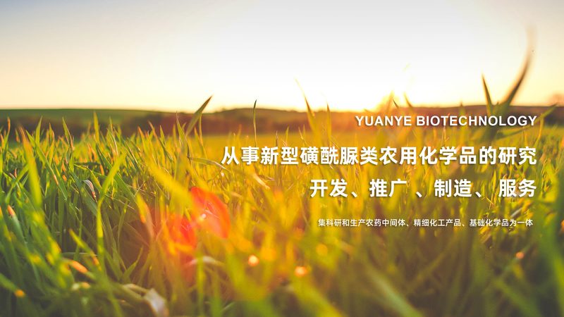 组织培养无菌操作：规范背后的科学**