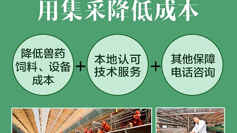 定制培养基配方，你了解其流程吗？**