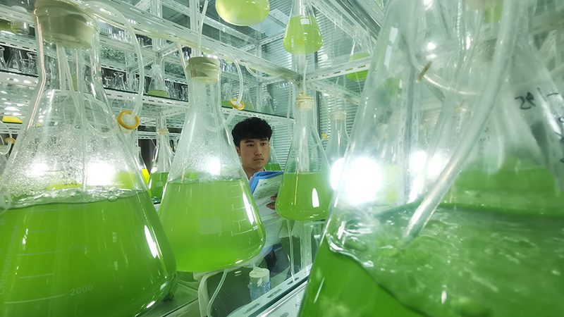 实验室耗材质量规范标准：合规之路的指南针